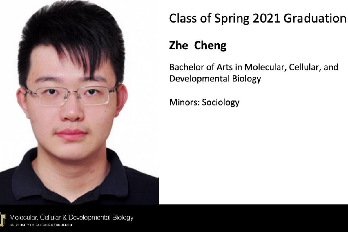 Zhe Cheng