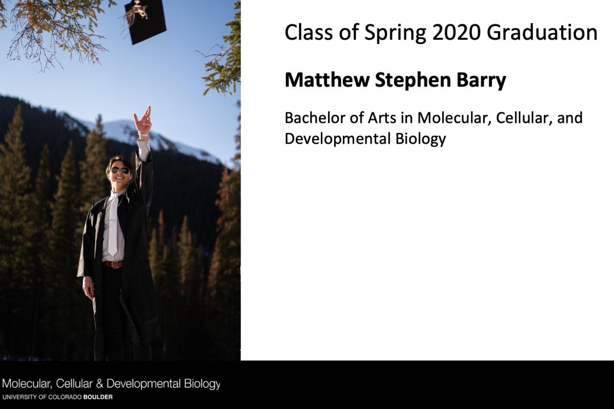 Matthew Stephen Barry