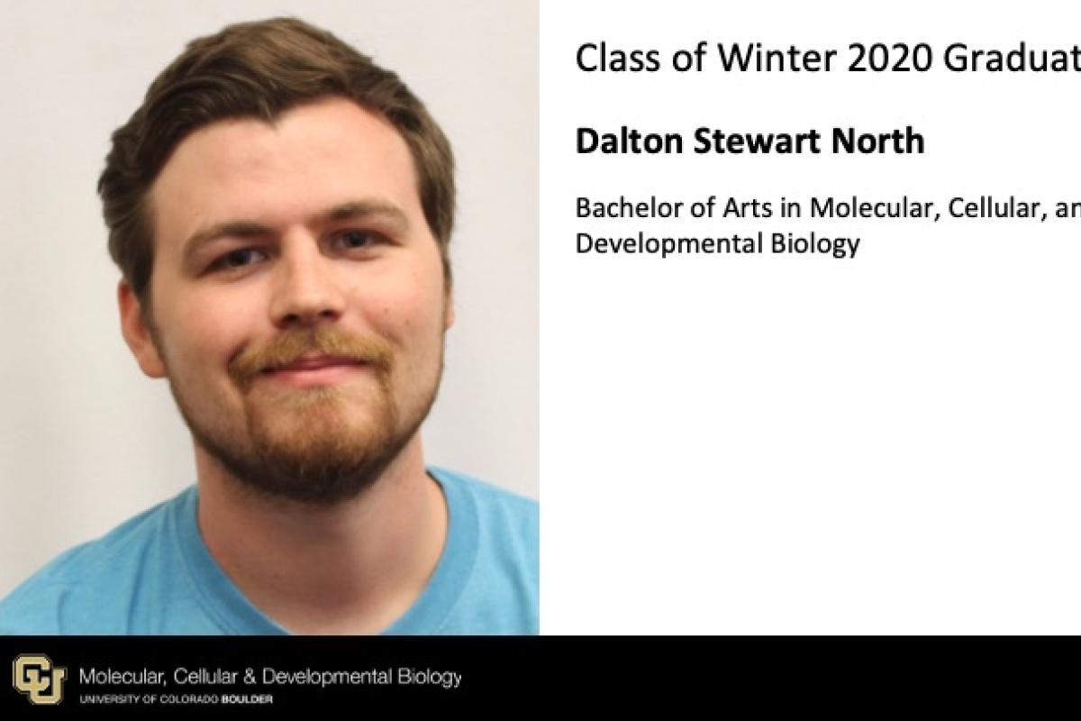 Dalton Stewart North