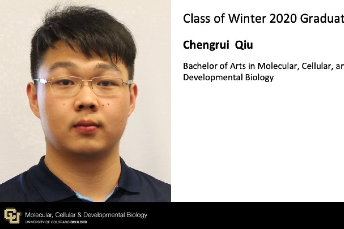 Chengrui Qiu