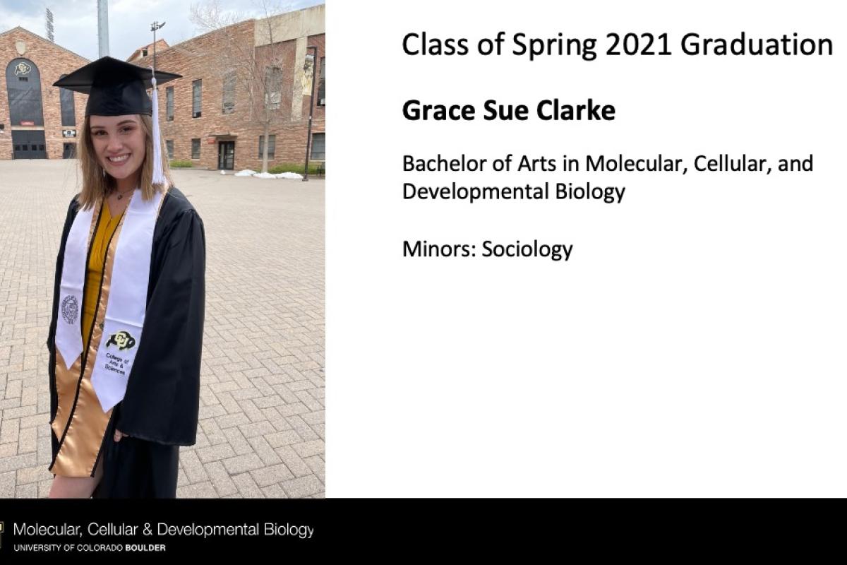 Grace Sue Clarke