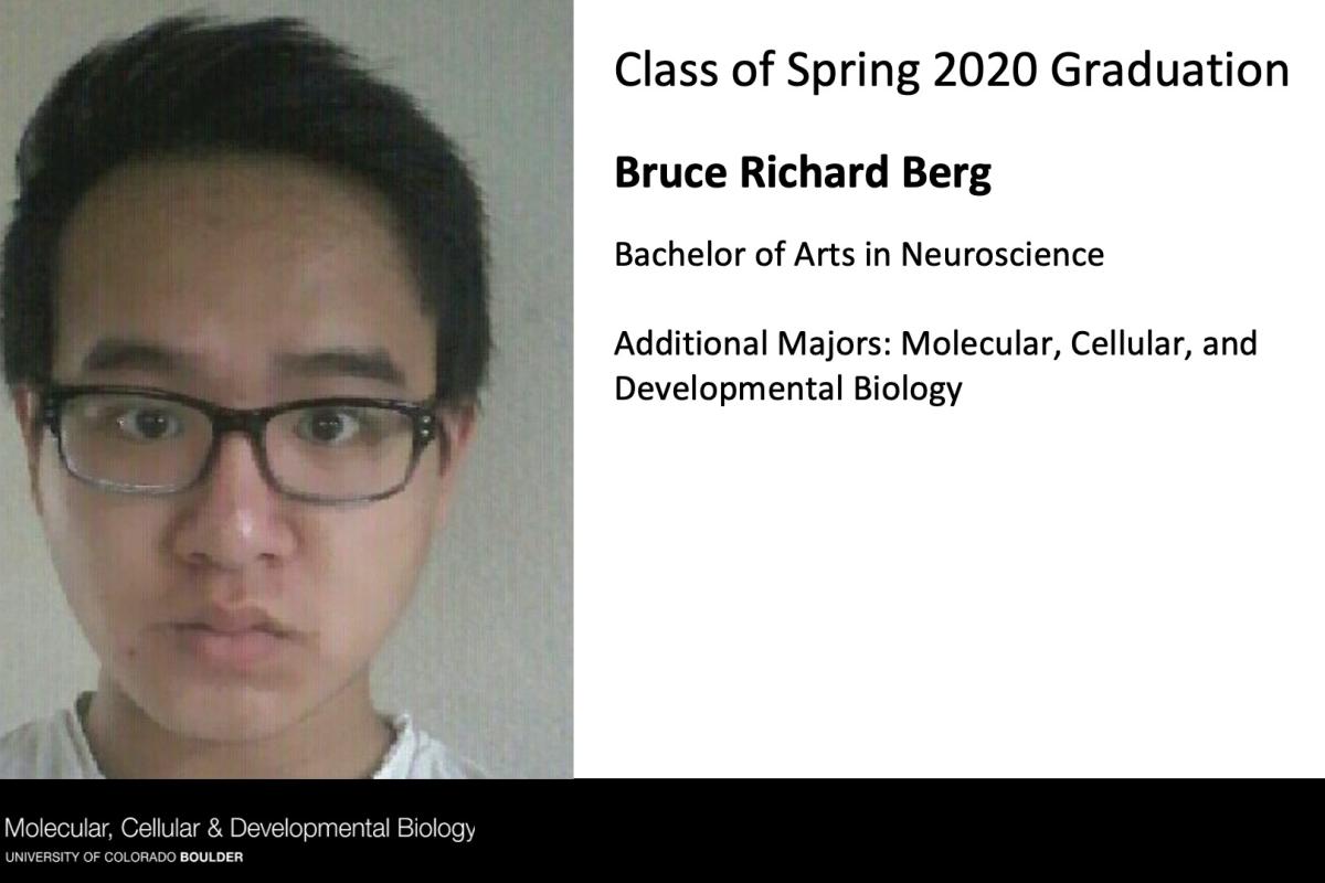 Bruce Richard Berg