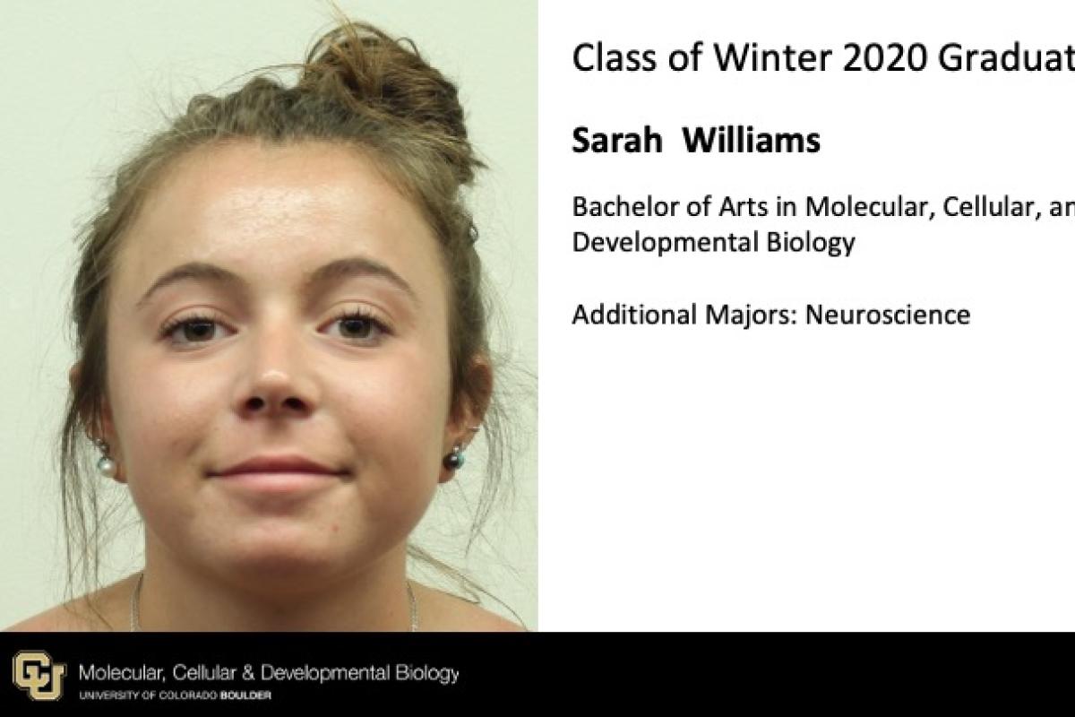 Sarah Williams