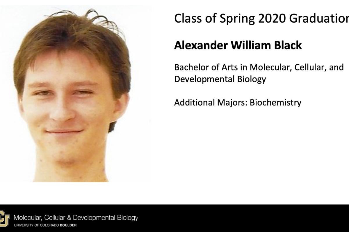 Alexander William Black