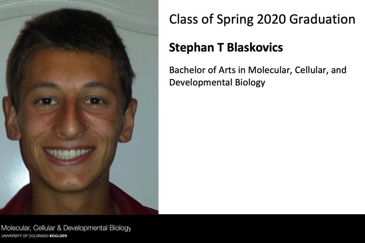 Stephan T Blaskovics