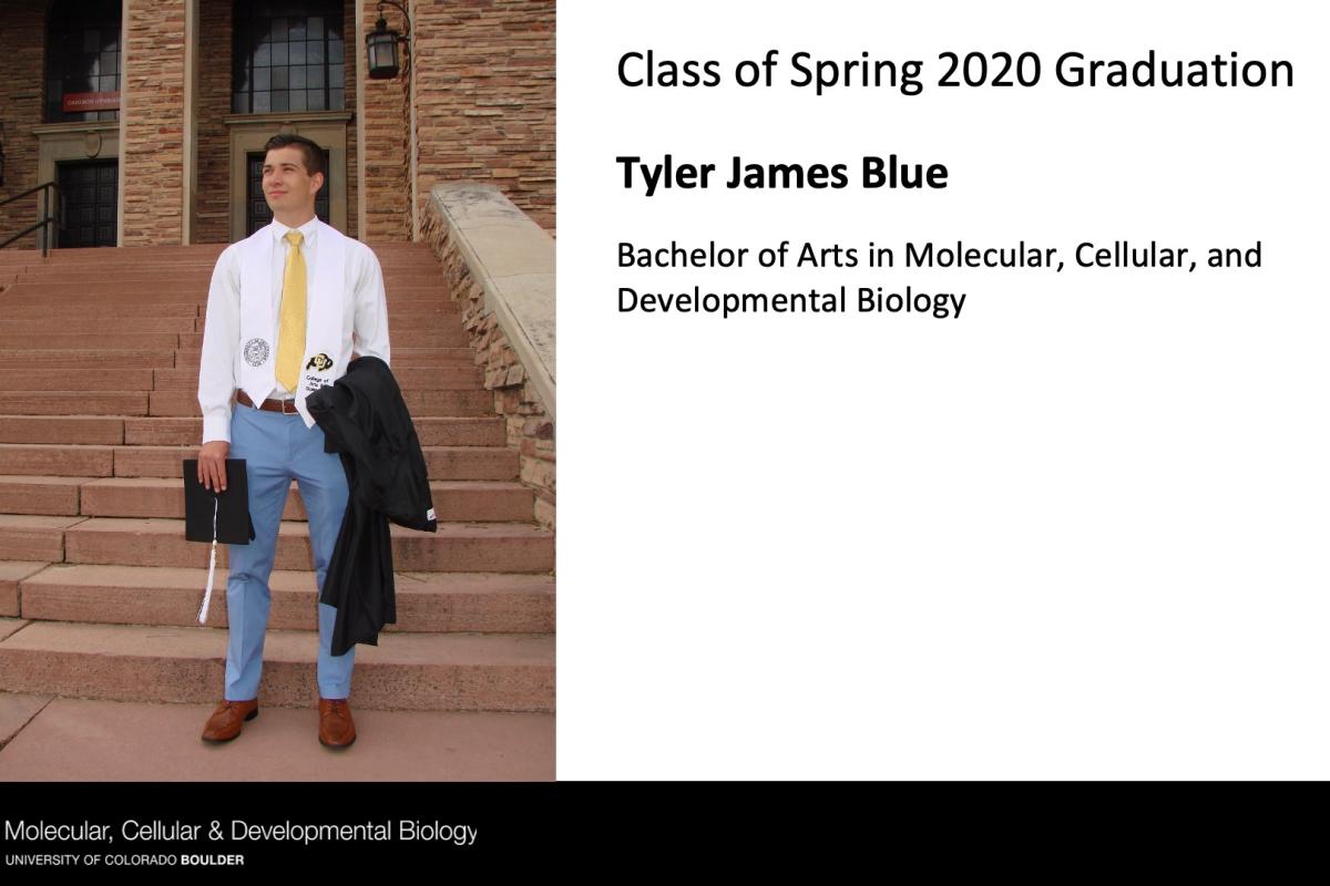 Tyler James Blue
