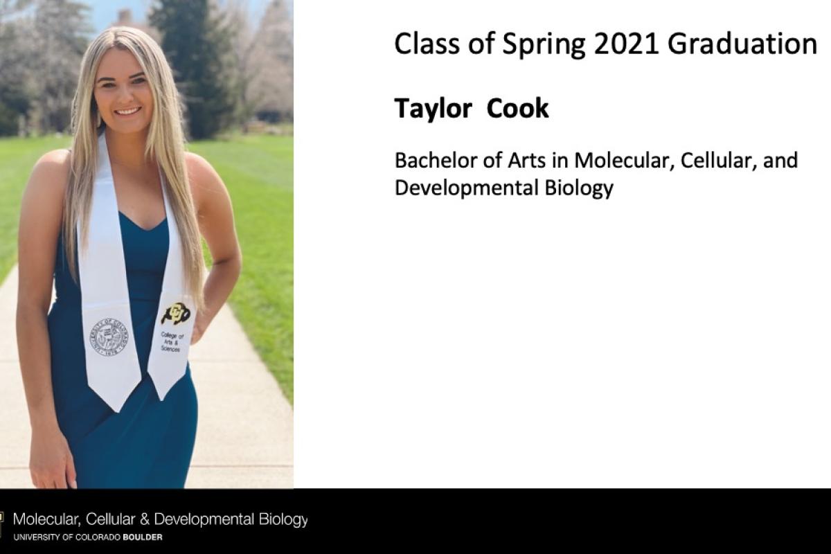 Taylor Cook