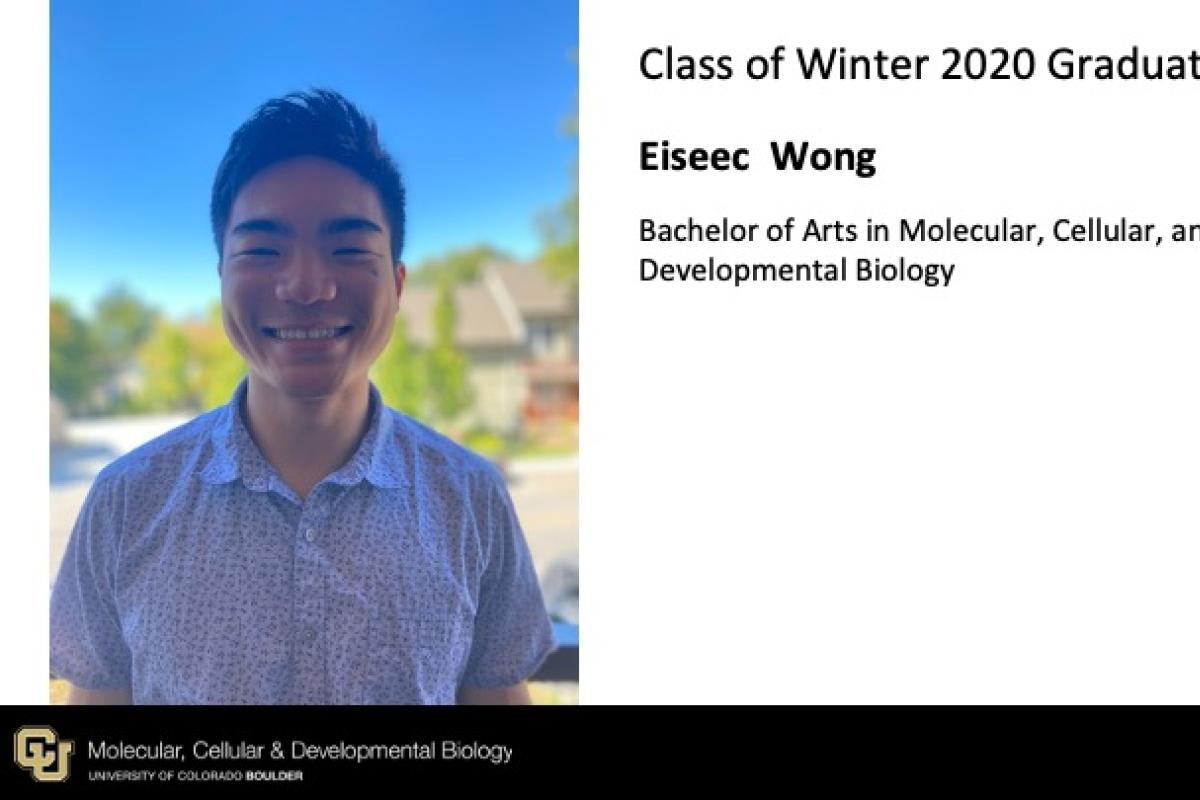 Eiseec Wong
