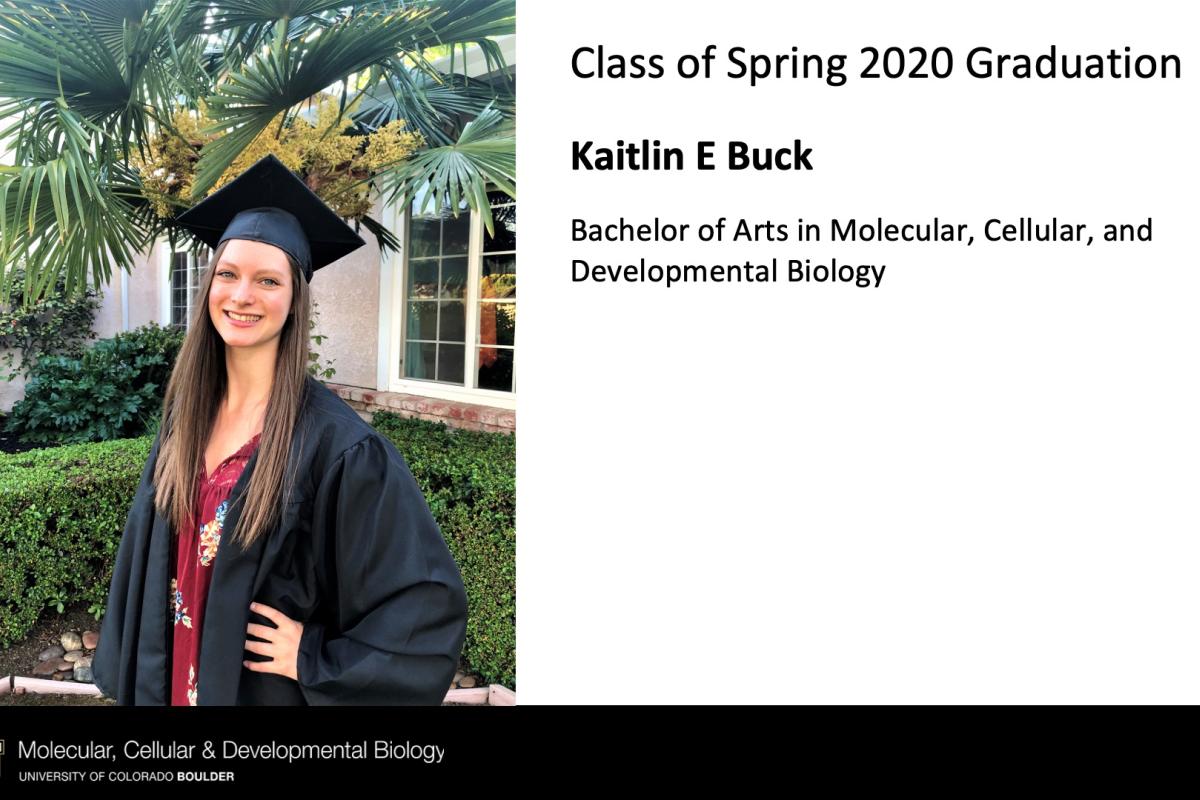 Kaitlin E Buck