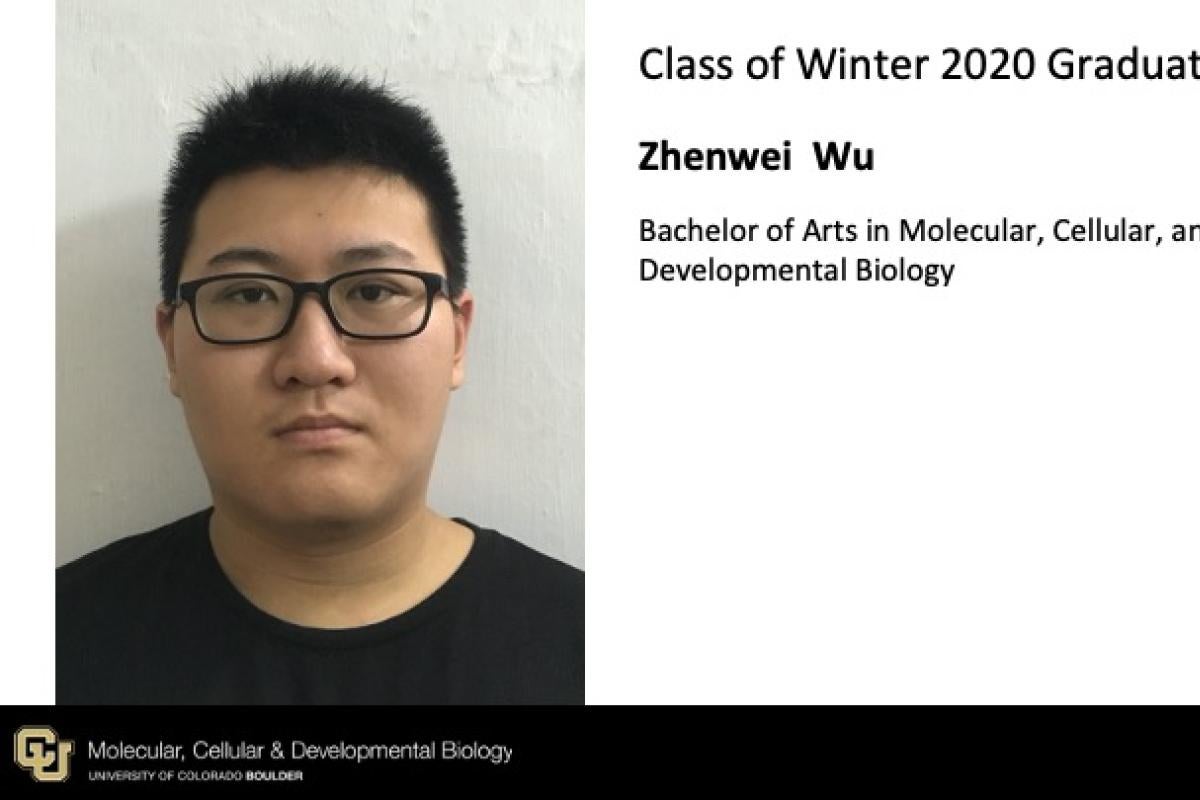 Zhenwei Wu
