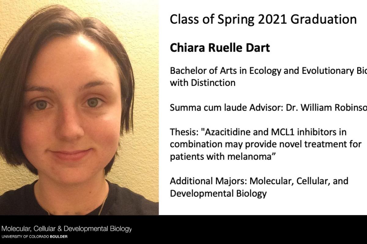 Chiara Ruelle Dart