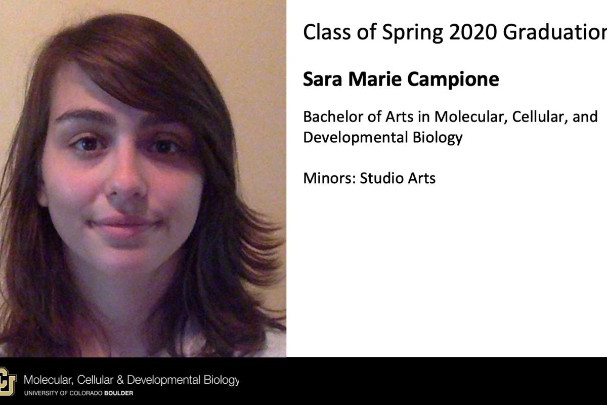 Sara Marie Campione
