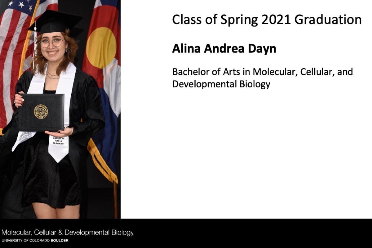 Alina Andrea Dayn