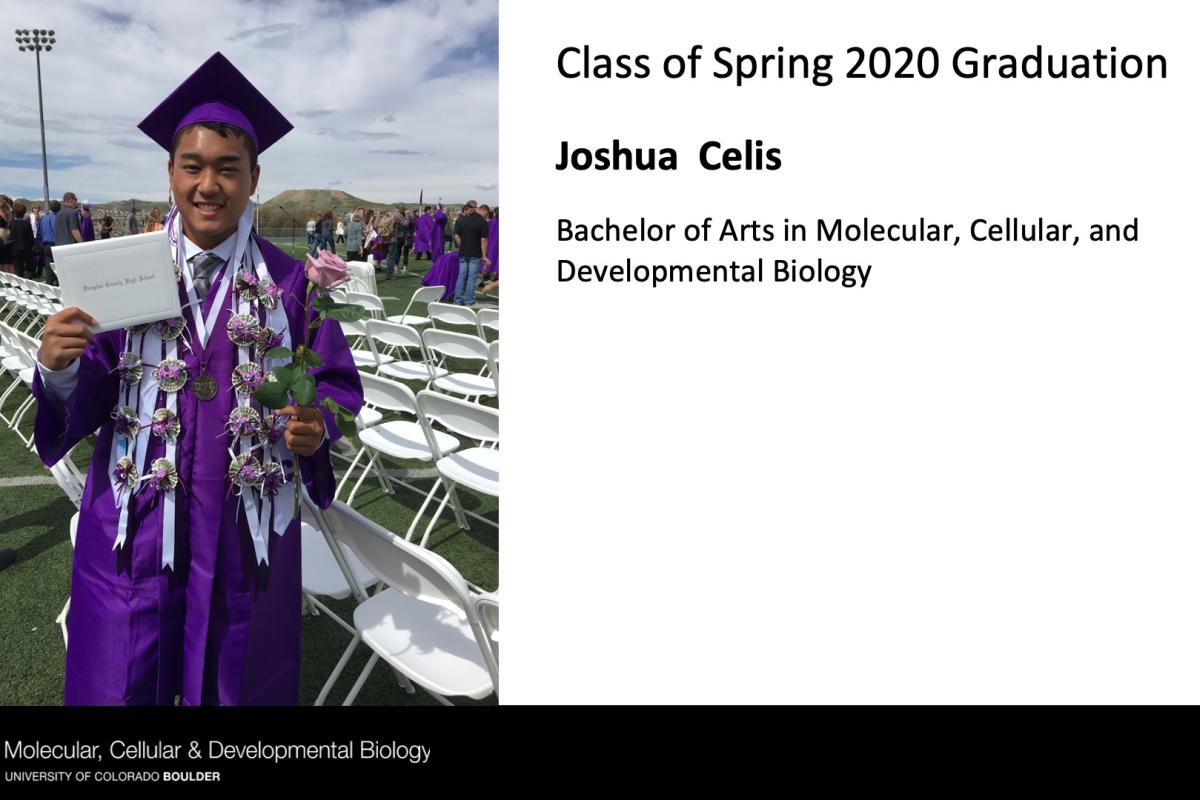 Joshua Celis