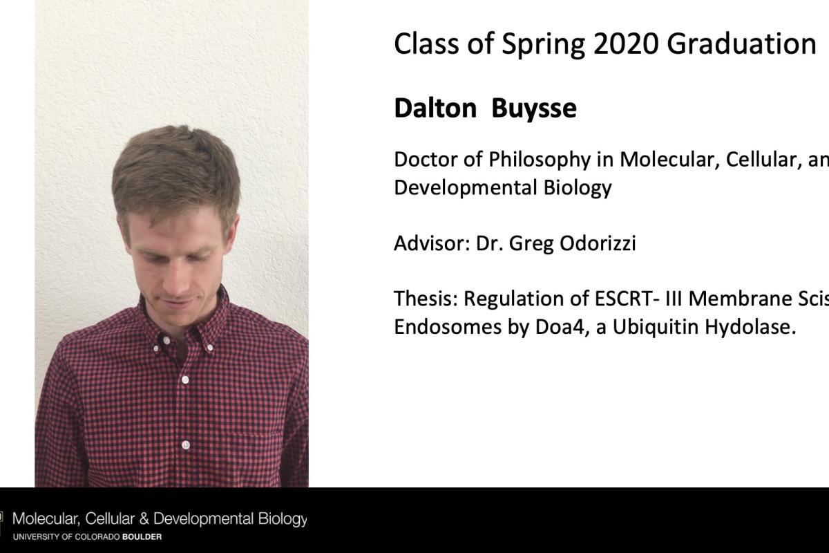 Dalton Buysse