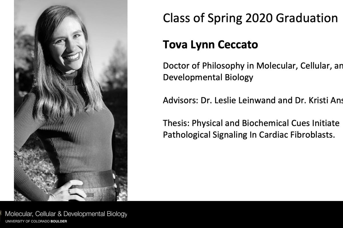 Tova Lynn Ceccato