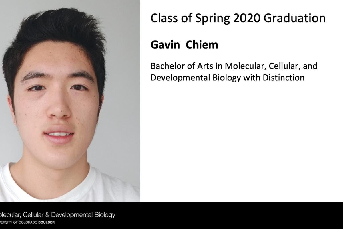 Gavin Chiem