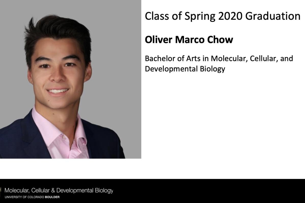 Oliver Marco Chow