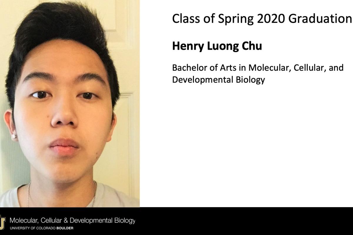 Henry Luong Chu