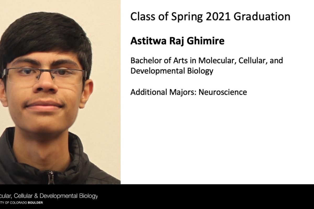 Astitwa Raj Ghimire