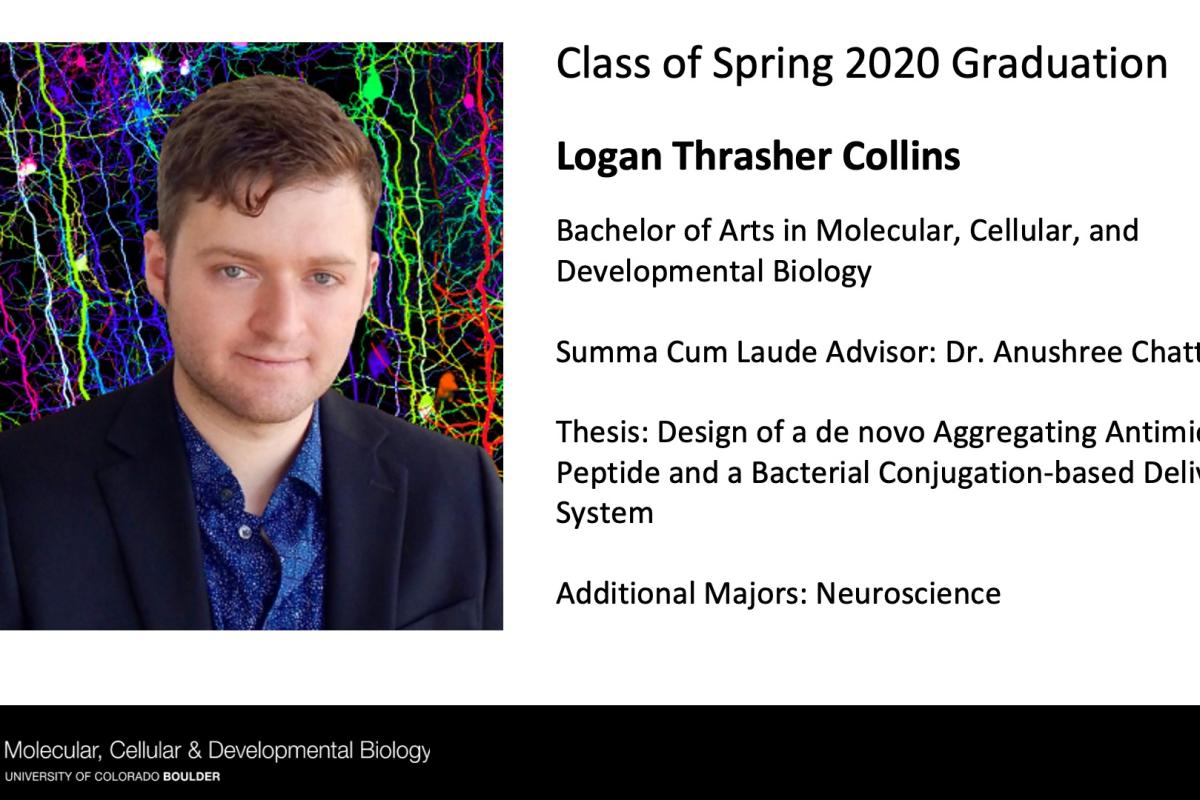 Logan Thrasher Collins
