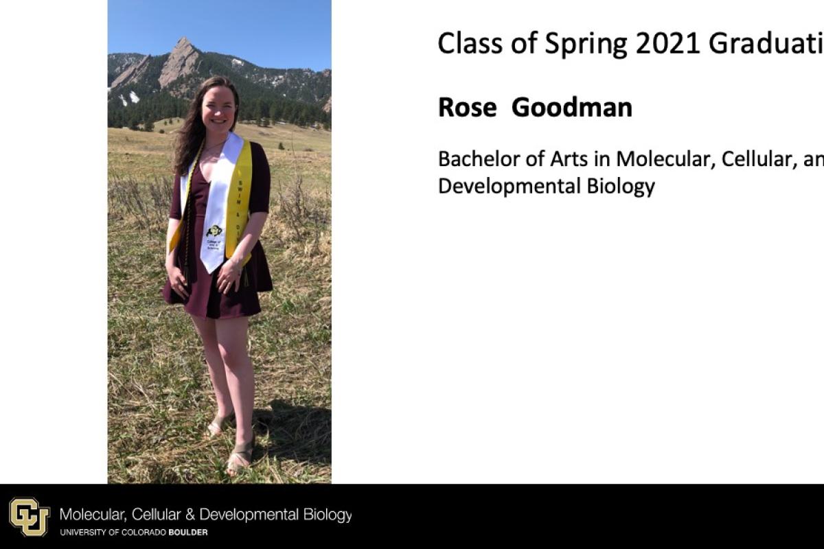 Rose Goodman