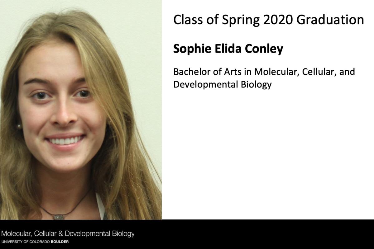 Sophie Elida Conley