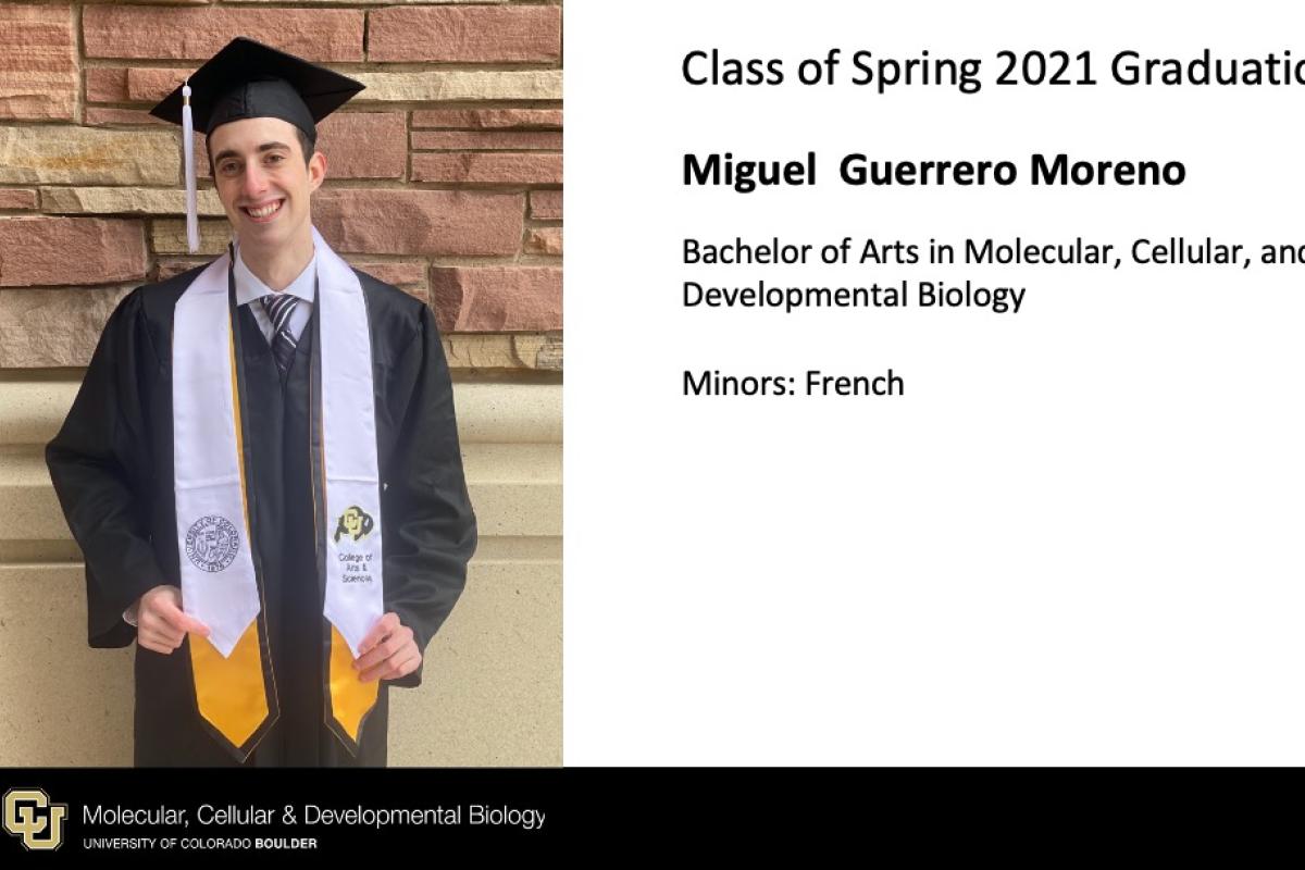 Miguel Guerrero Moreno