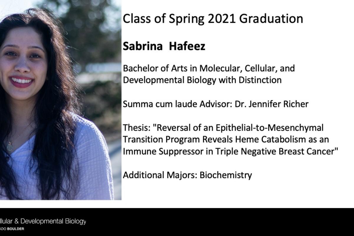 Sabrina Hafeez