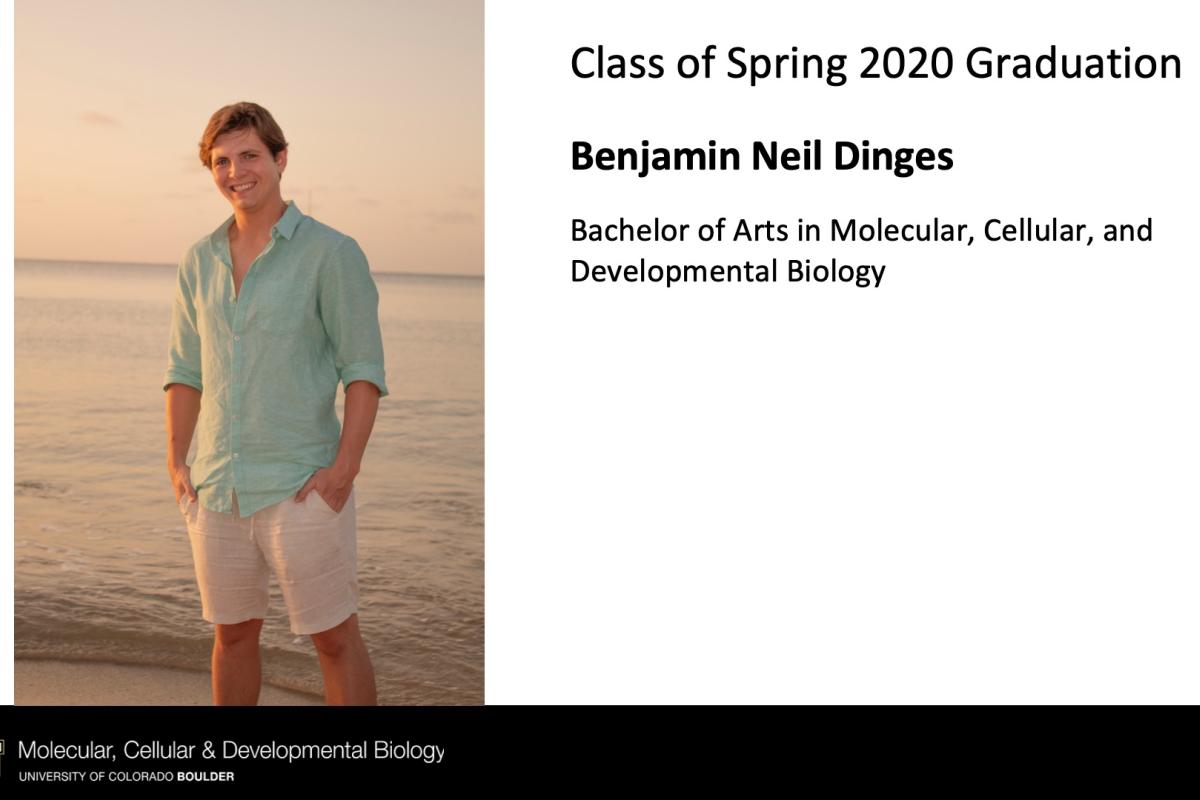 Benjamin Neil Dinges