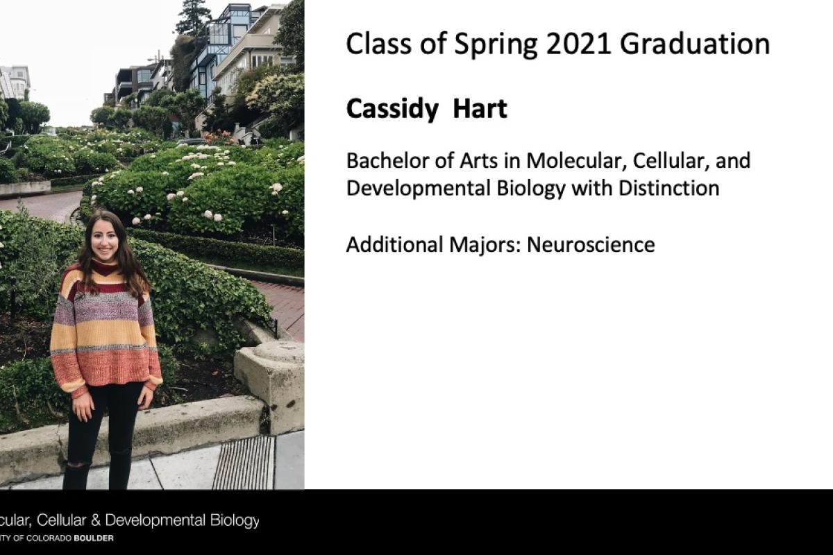 Cassidy Hart