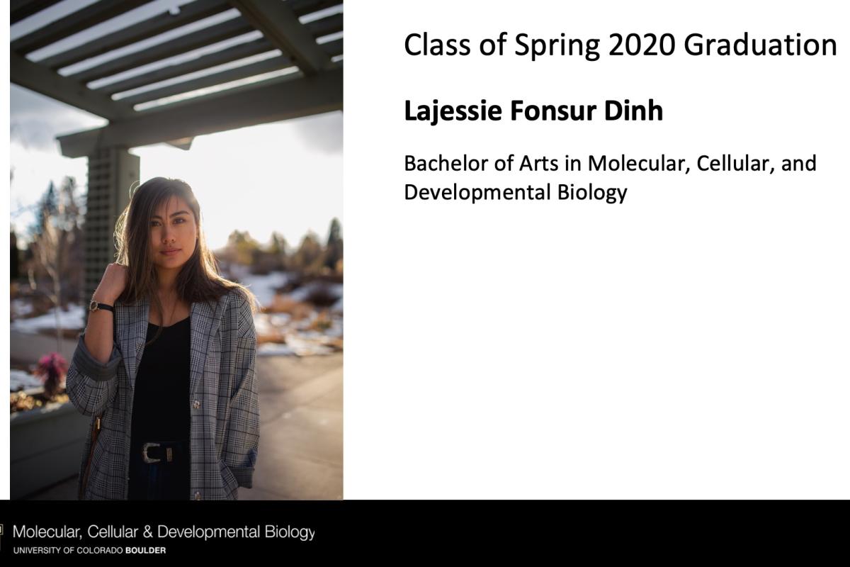 Lajessie Fonsur Dinh
