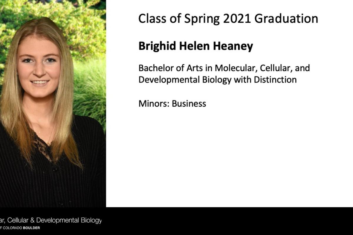 Brighid Helen Heaney