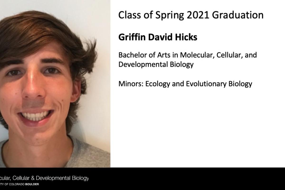 Griffin David Hicks
