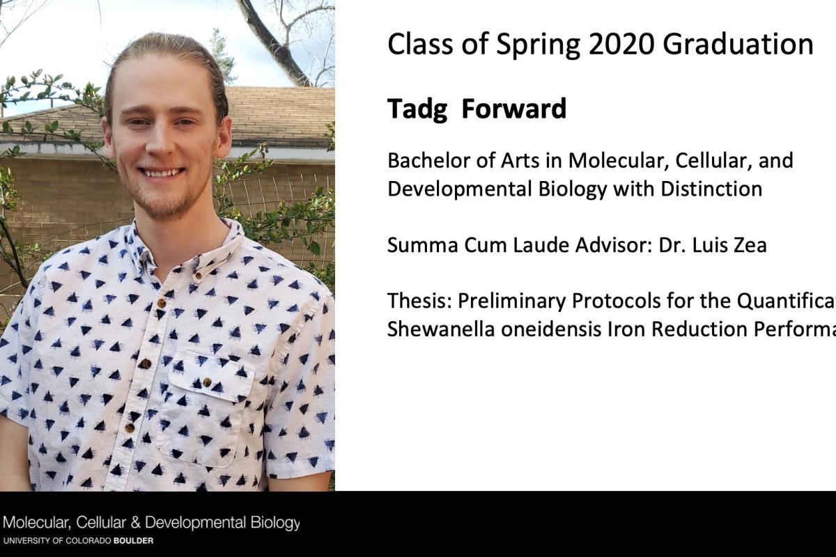 Tadg Forward
