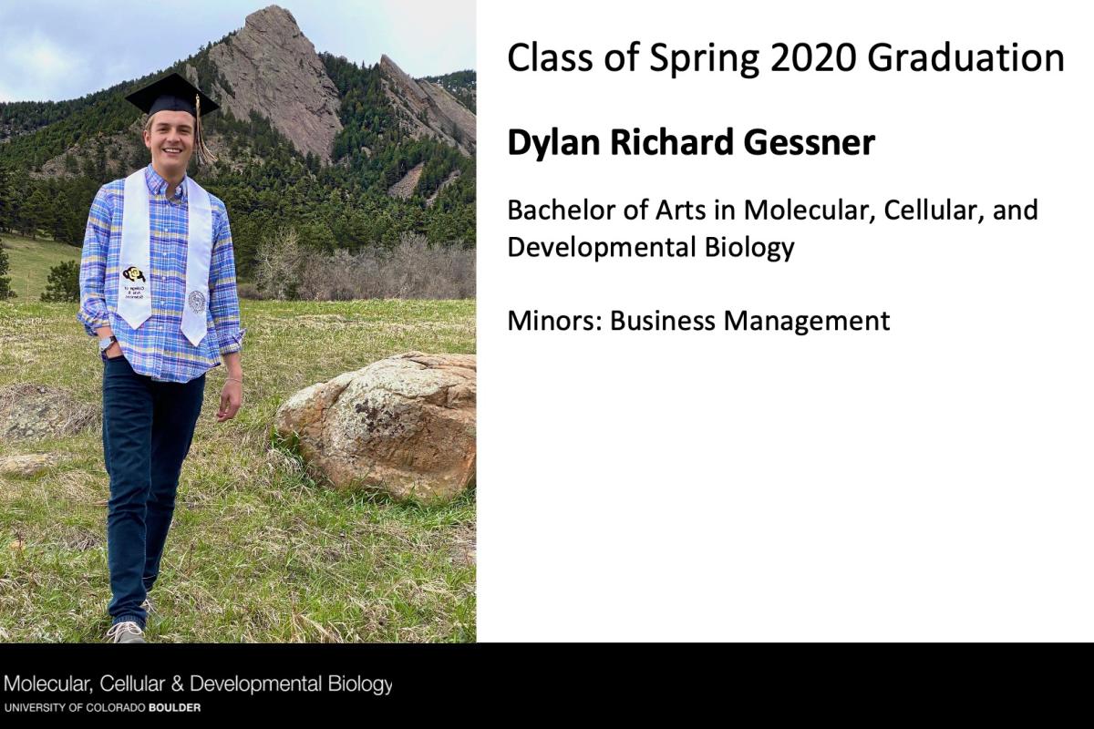 Dylan Richard Gessner