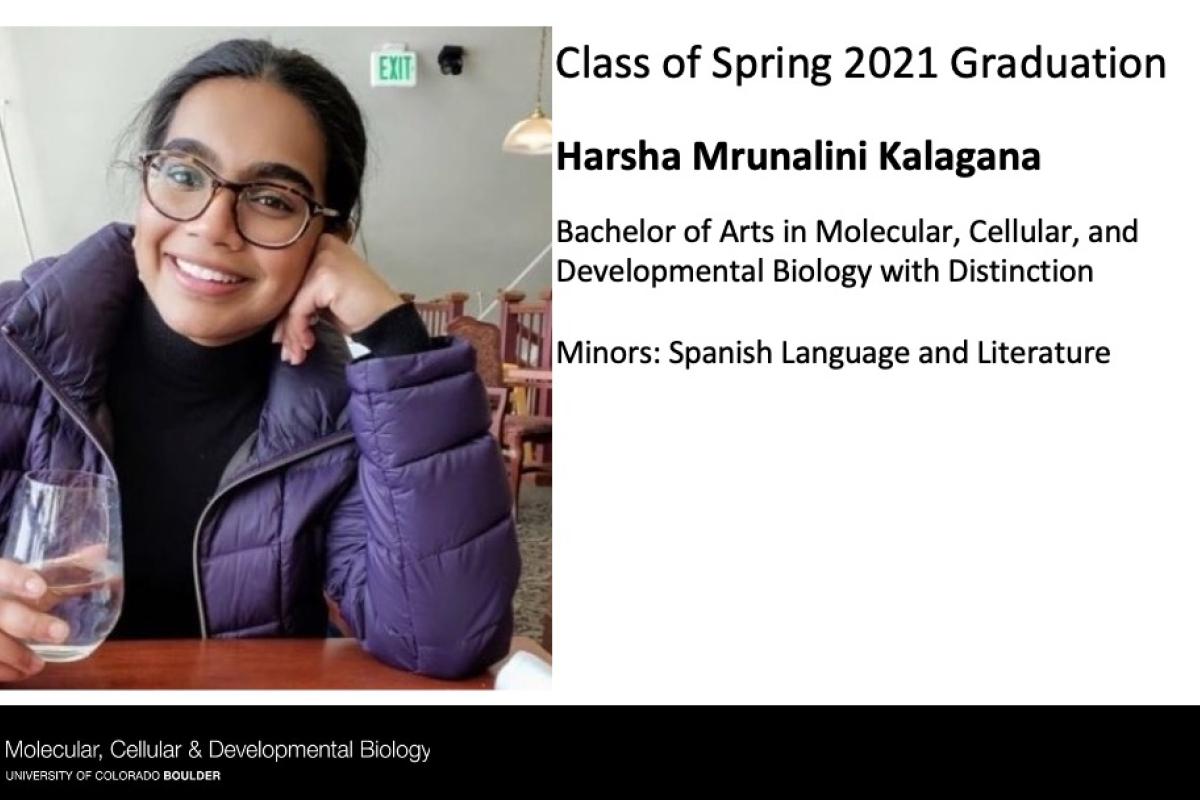 Harsha Mrunalini Kalagana