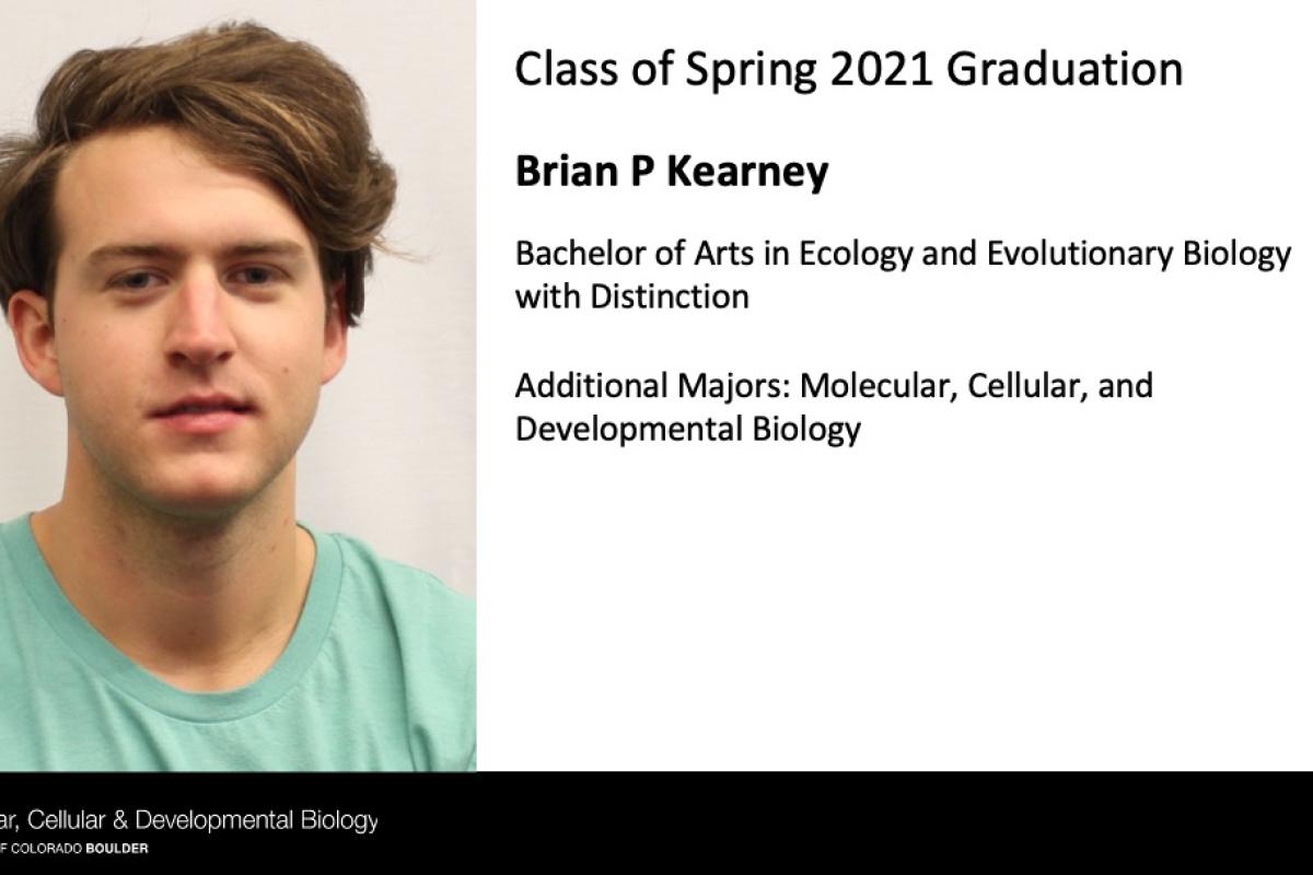 Brian P Kearney