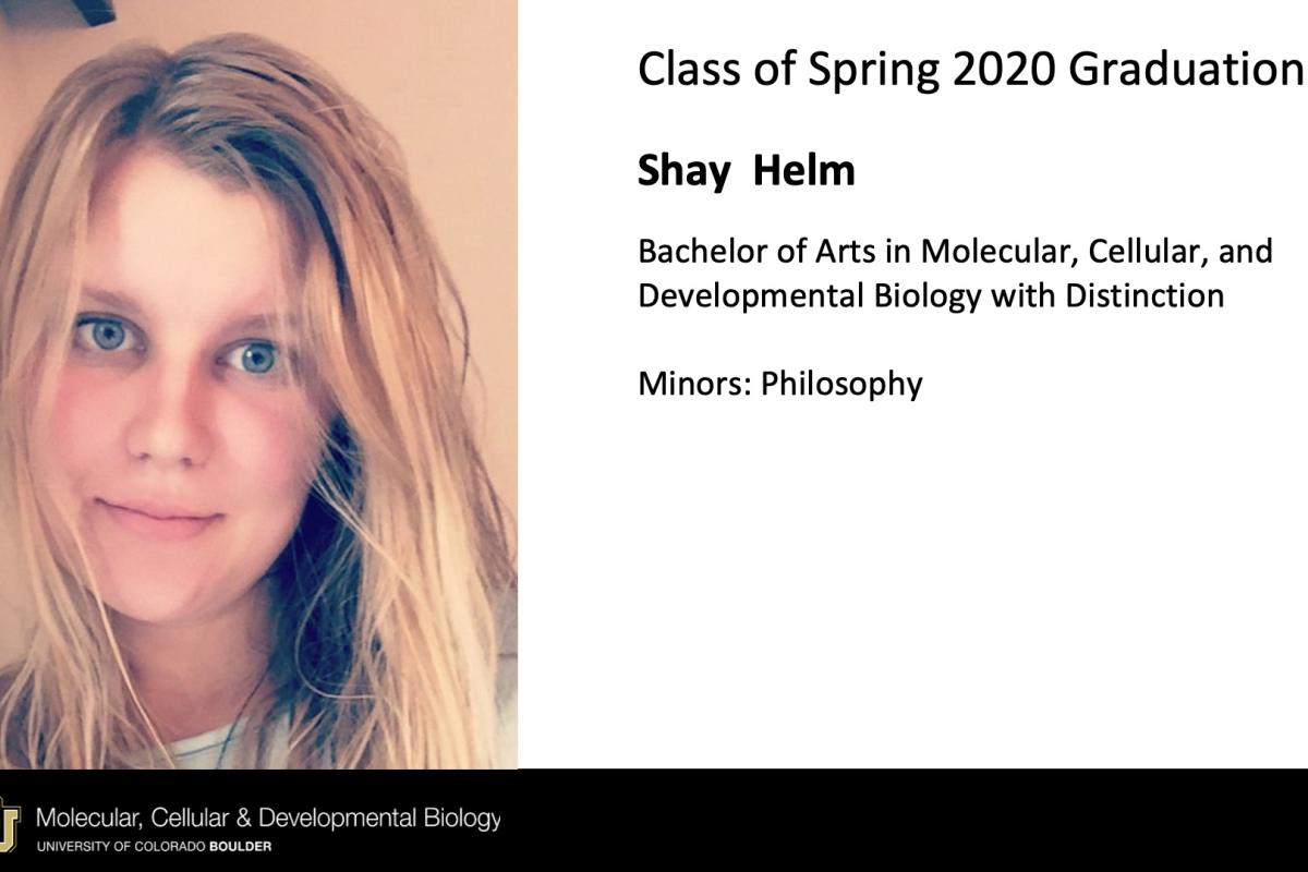 Shay Helm