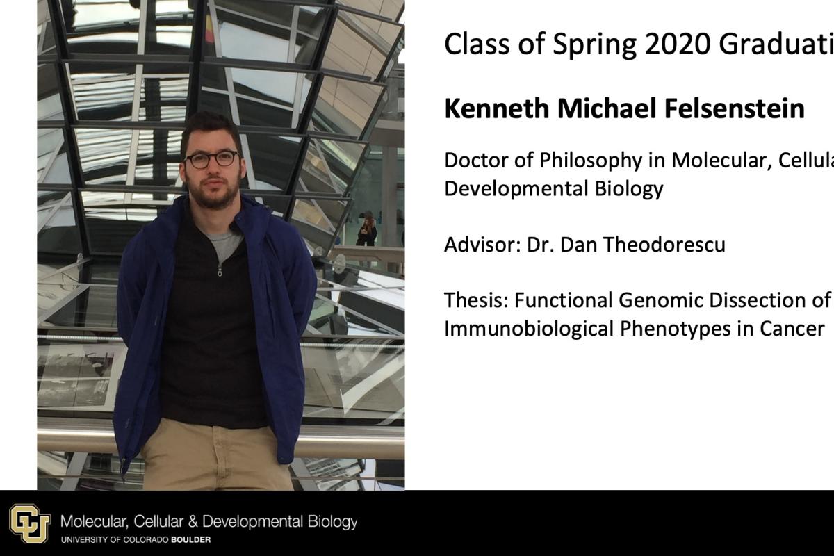 Kenneth Michael Felsenstein