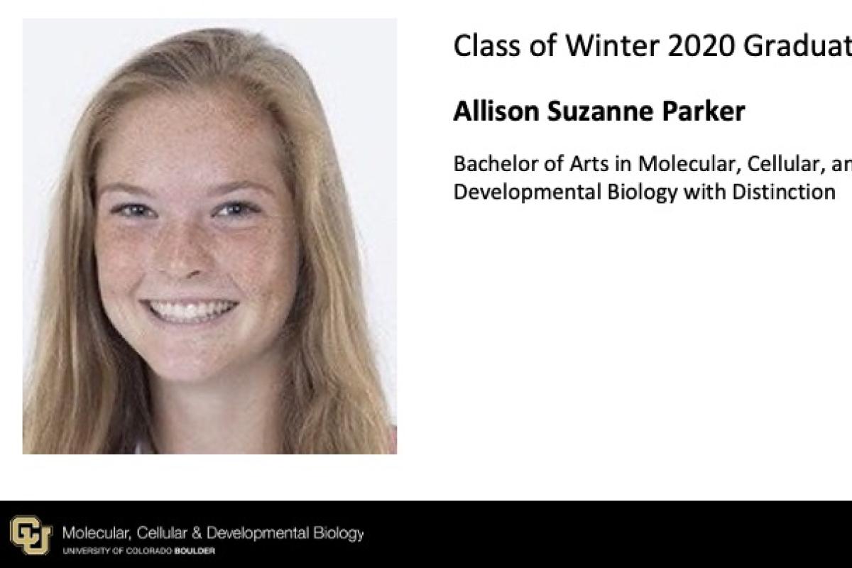 Allison Suzanne Parker