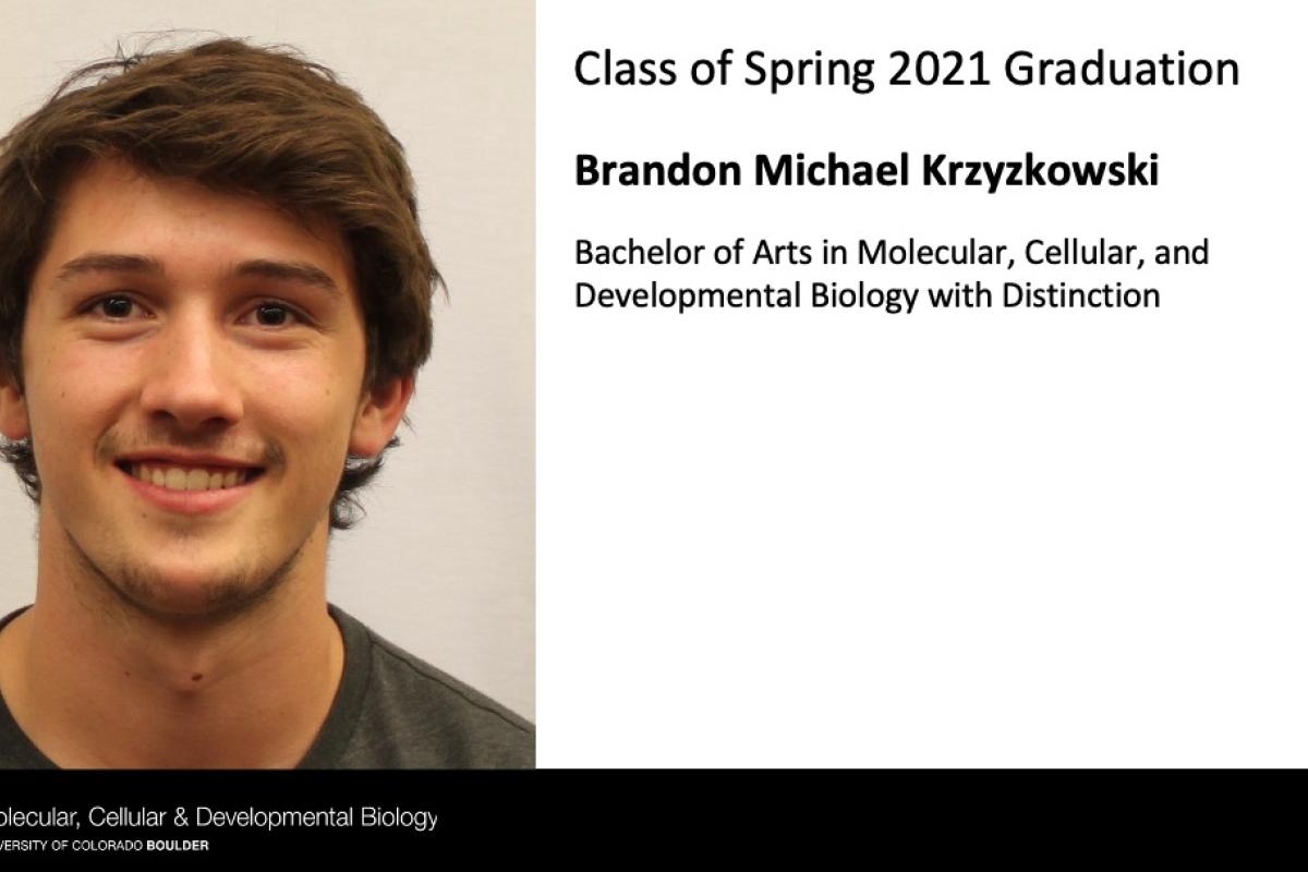 Brandon Michael Krzyzkowski