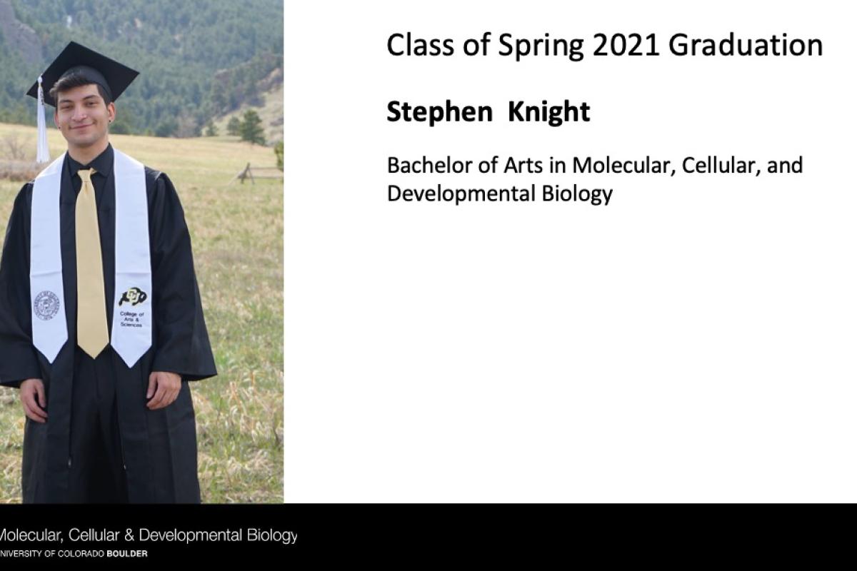 Stephen Knight