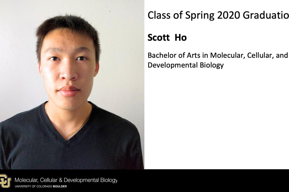 Scott Ho