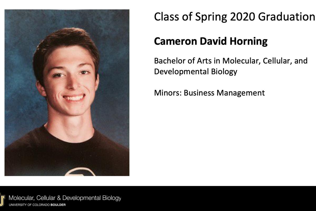 Cameron David Horning