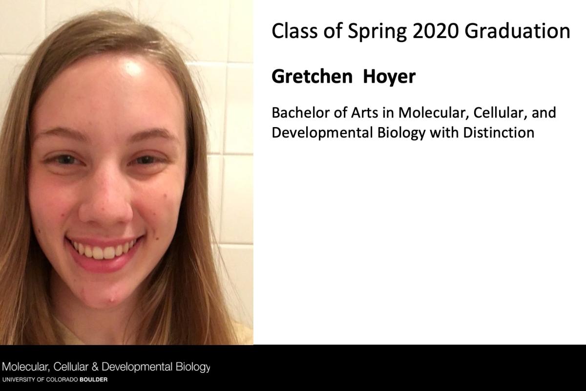 Gretchen Hoyer