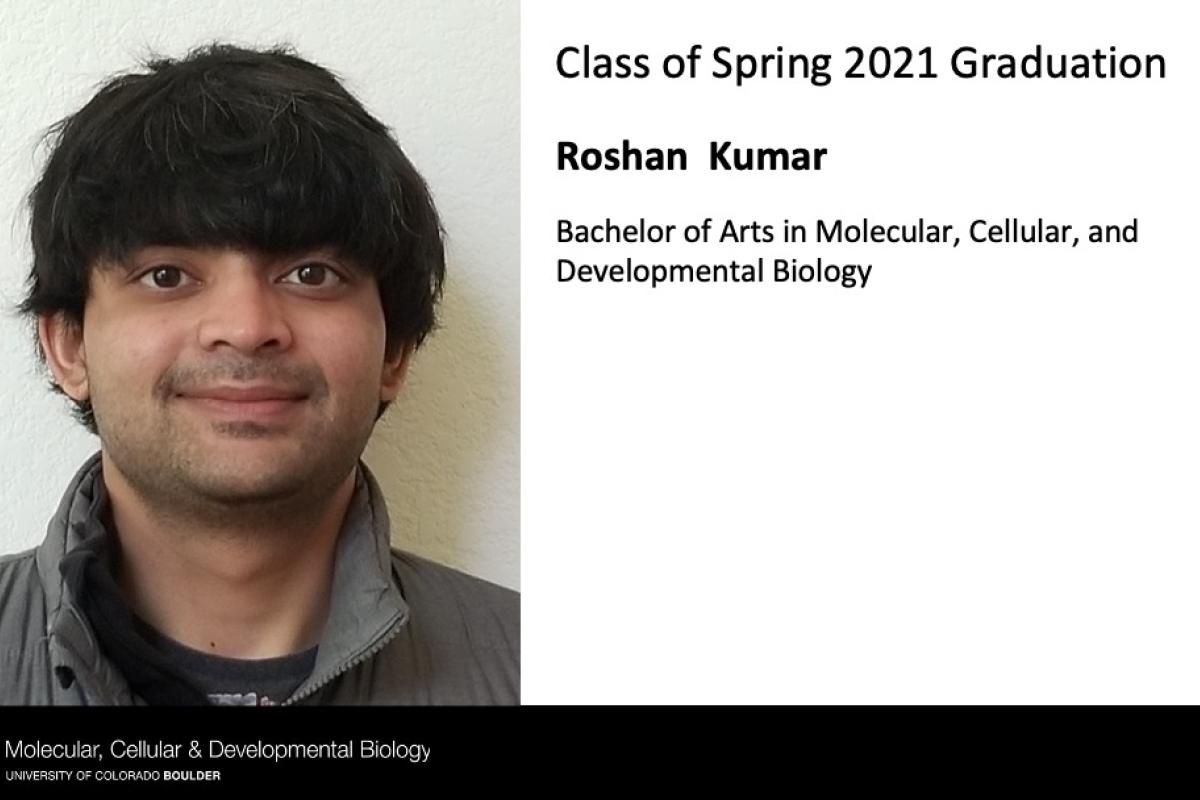 Roshan Kumar
