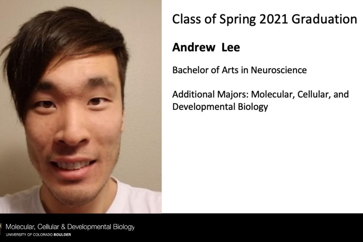 Andrew Lee