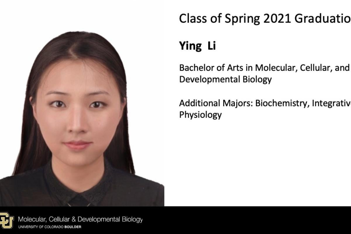 Ying Li