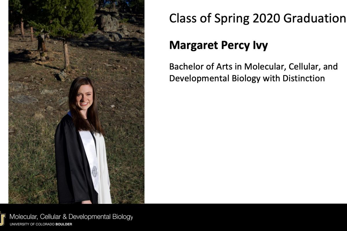 Margaret Percy Ivy